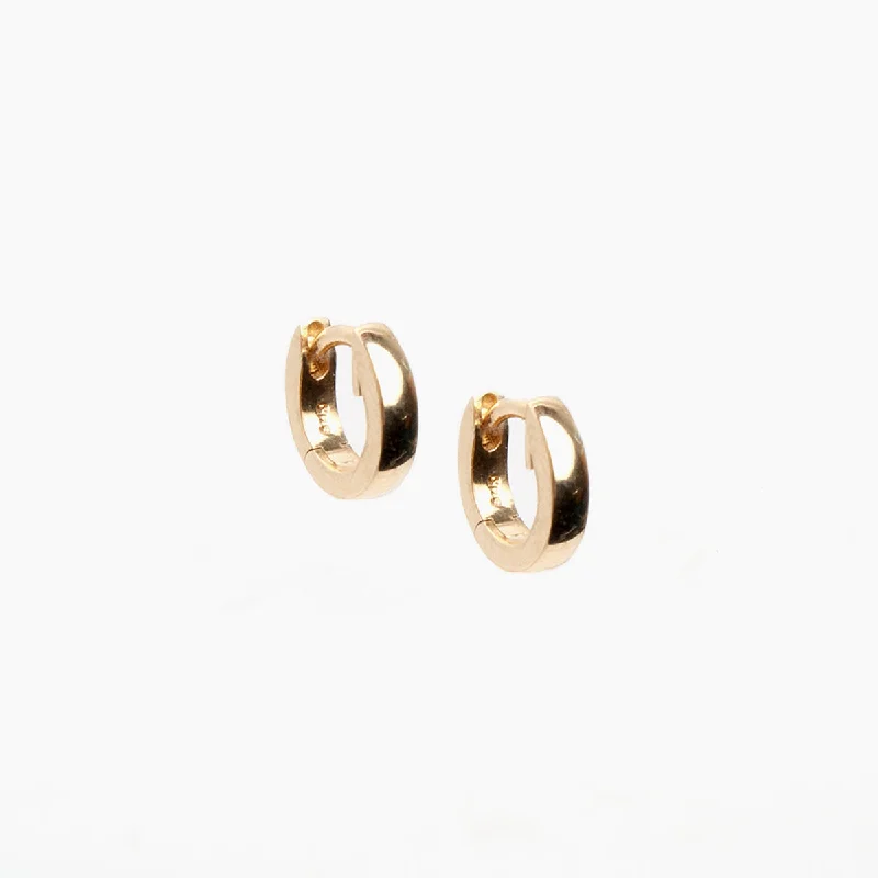 Small Hinged Hoop Earrings